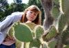 Какие кактусы растут в америке Видео: американские кактусы